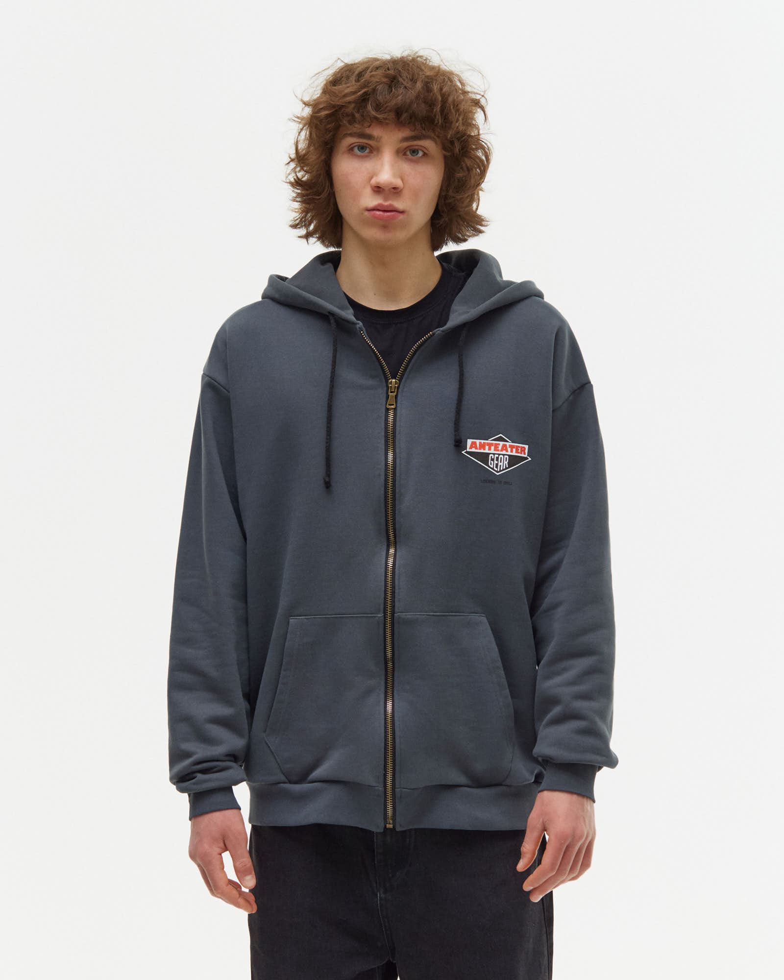 Толстовка Anteater Phat Zip