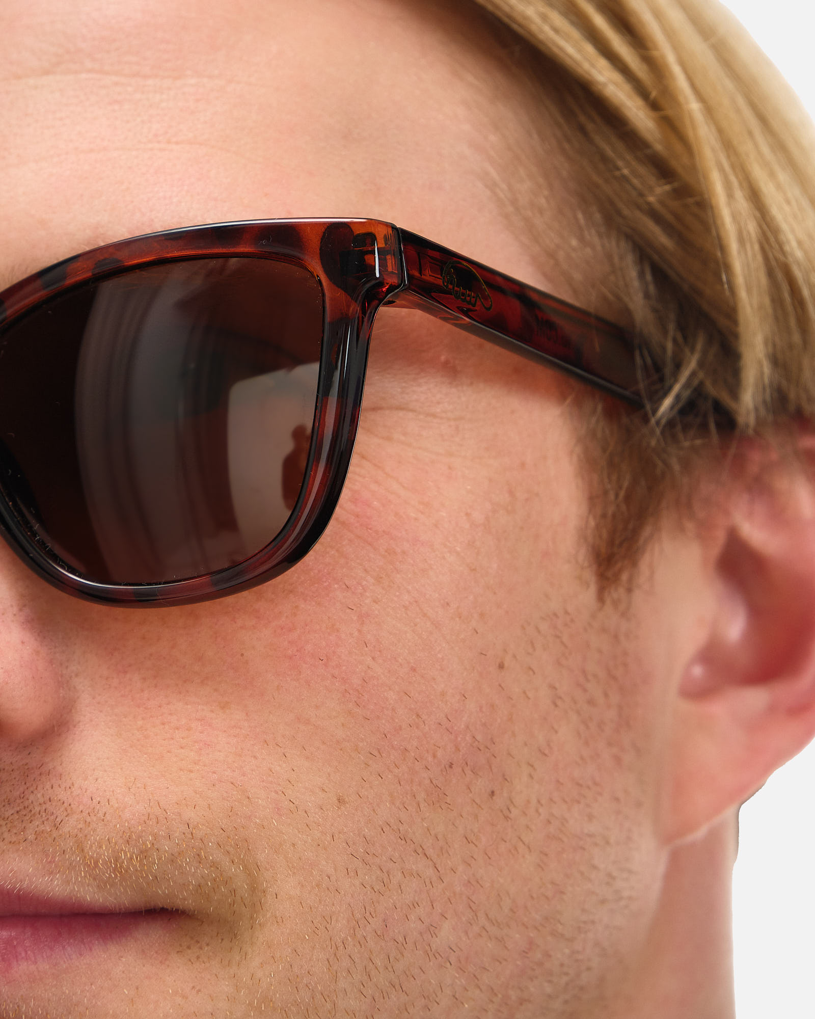 Очки Anteater Agent