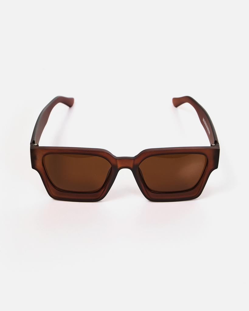 Очки Anteater President