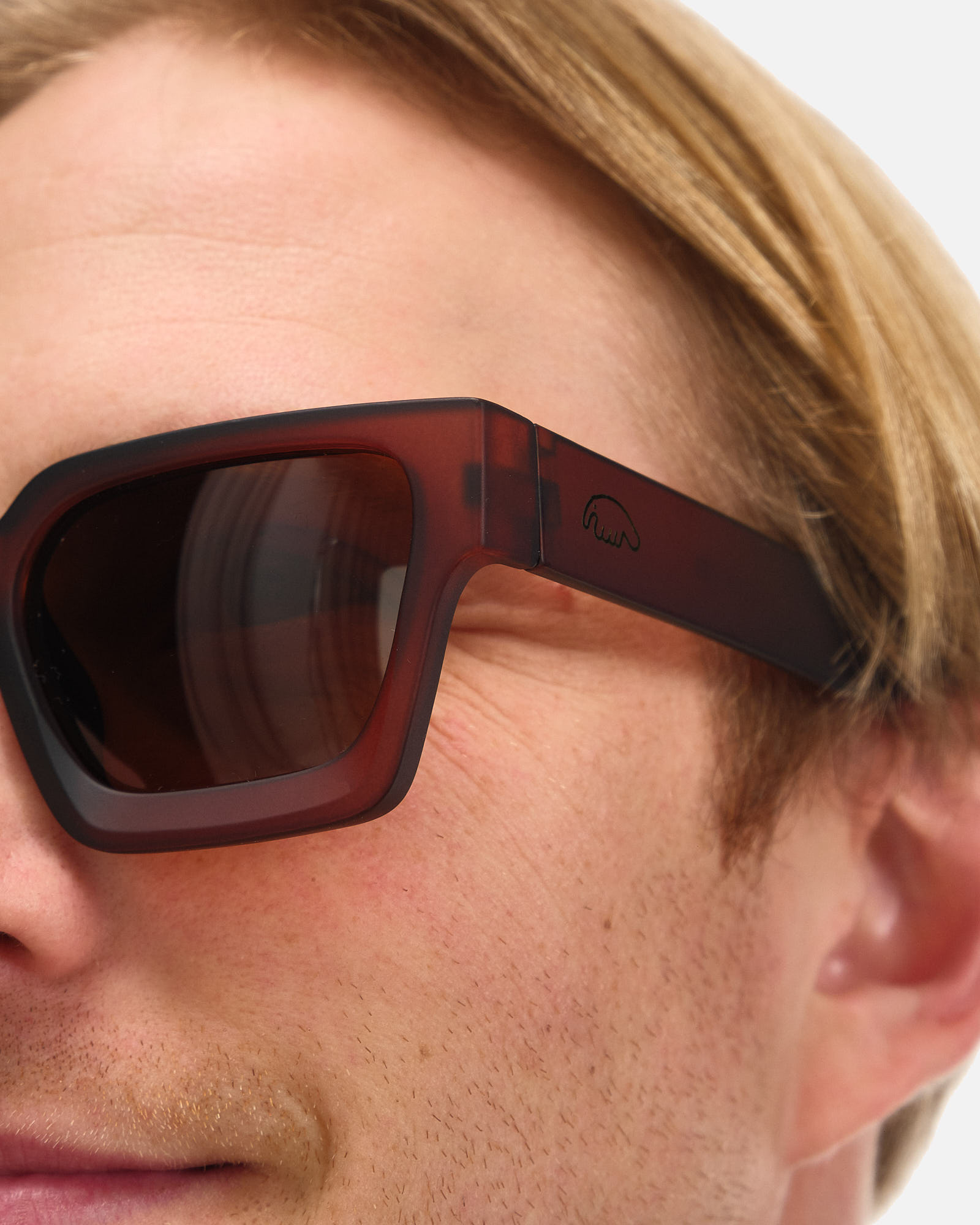 Очки Anteater President