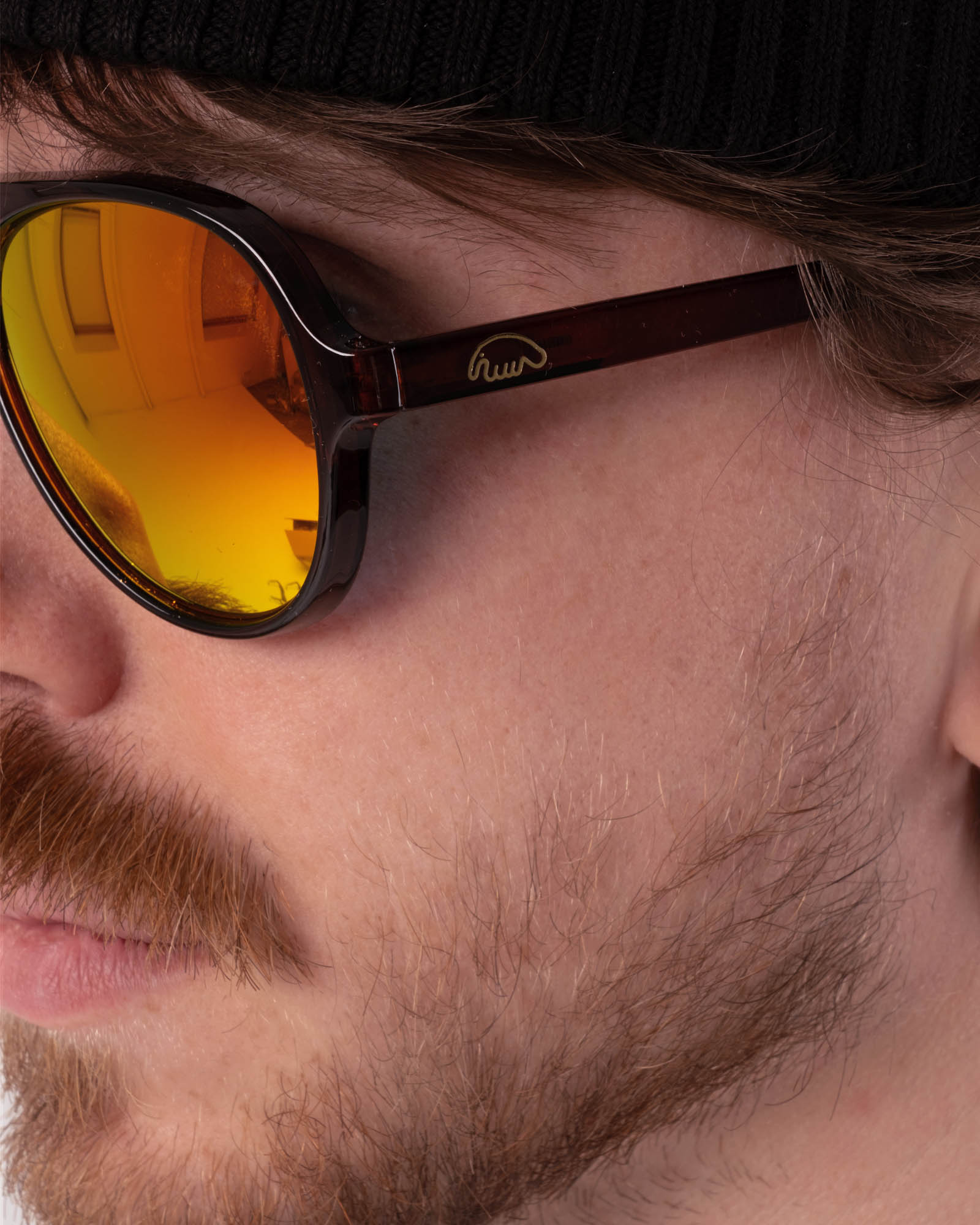 Очки Anteater Aviator