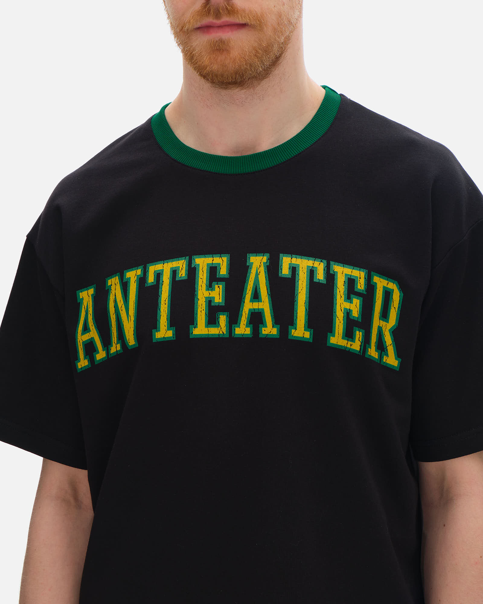 Футболка Anteater Crop Tee