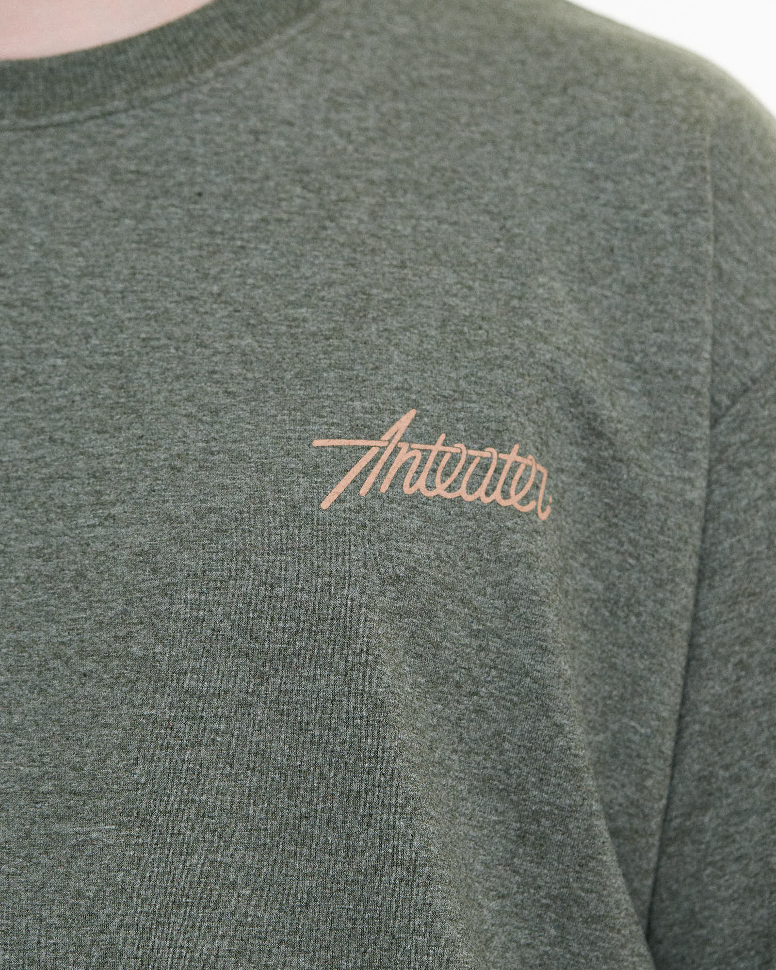 Футболка Anteater Phat Tee