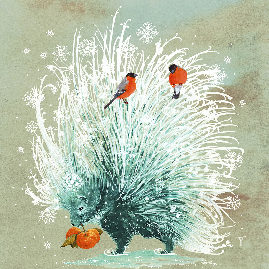 Открытка Зимний дикобраз