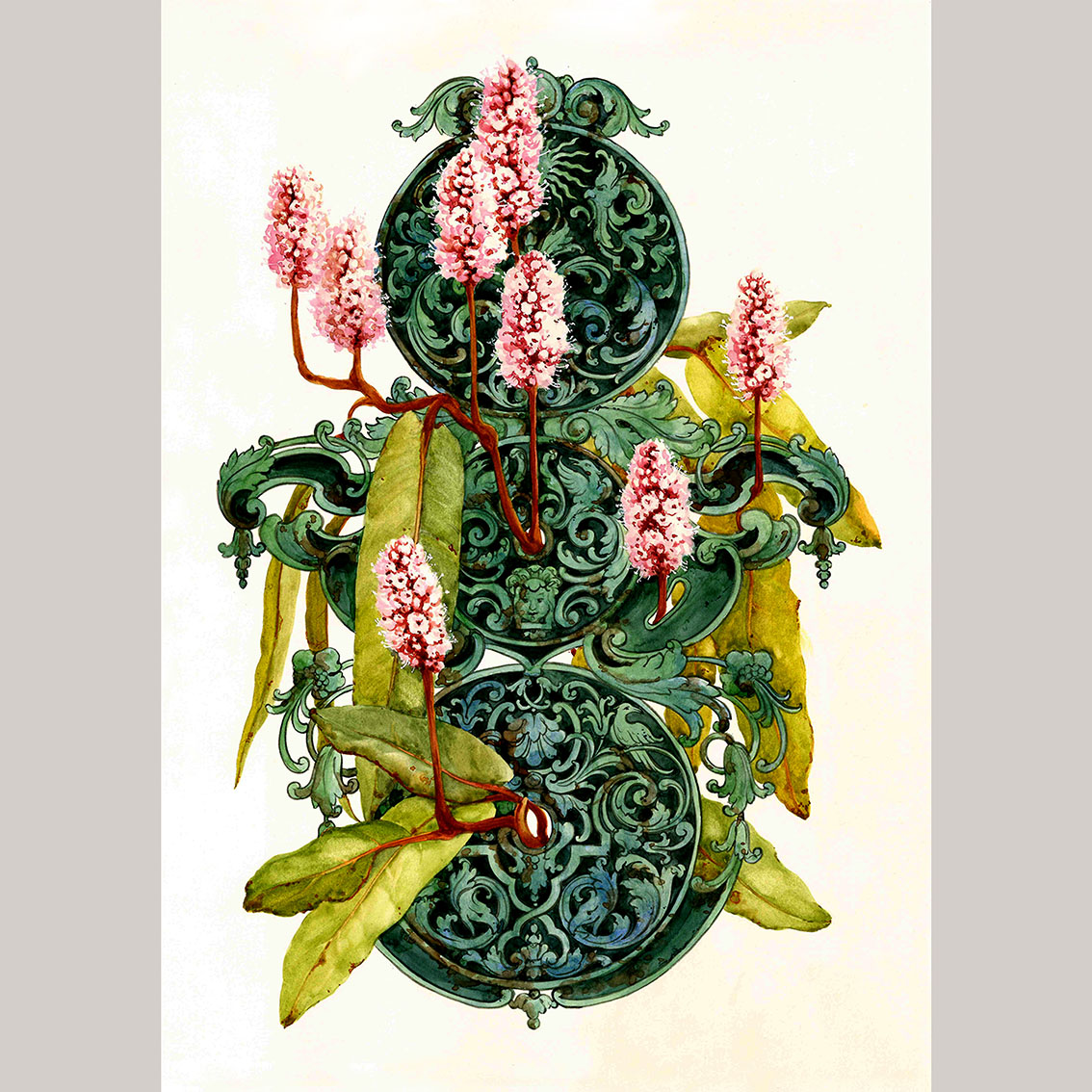 Открытка Горец земноводный