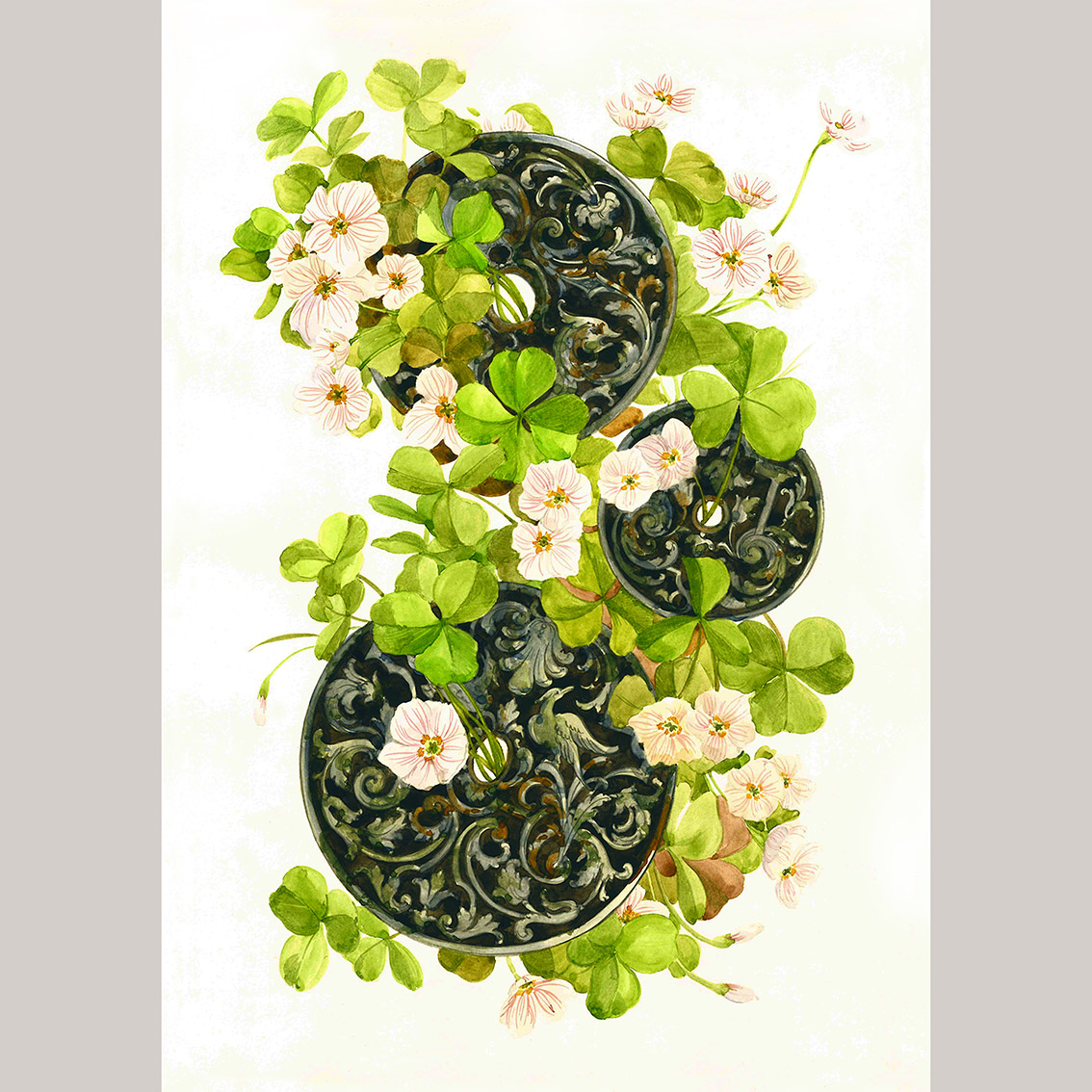 Открытка Заячья капуста