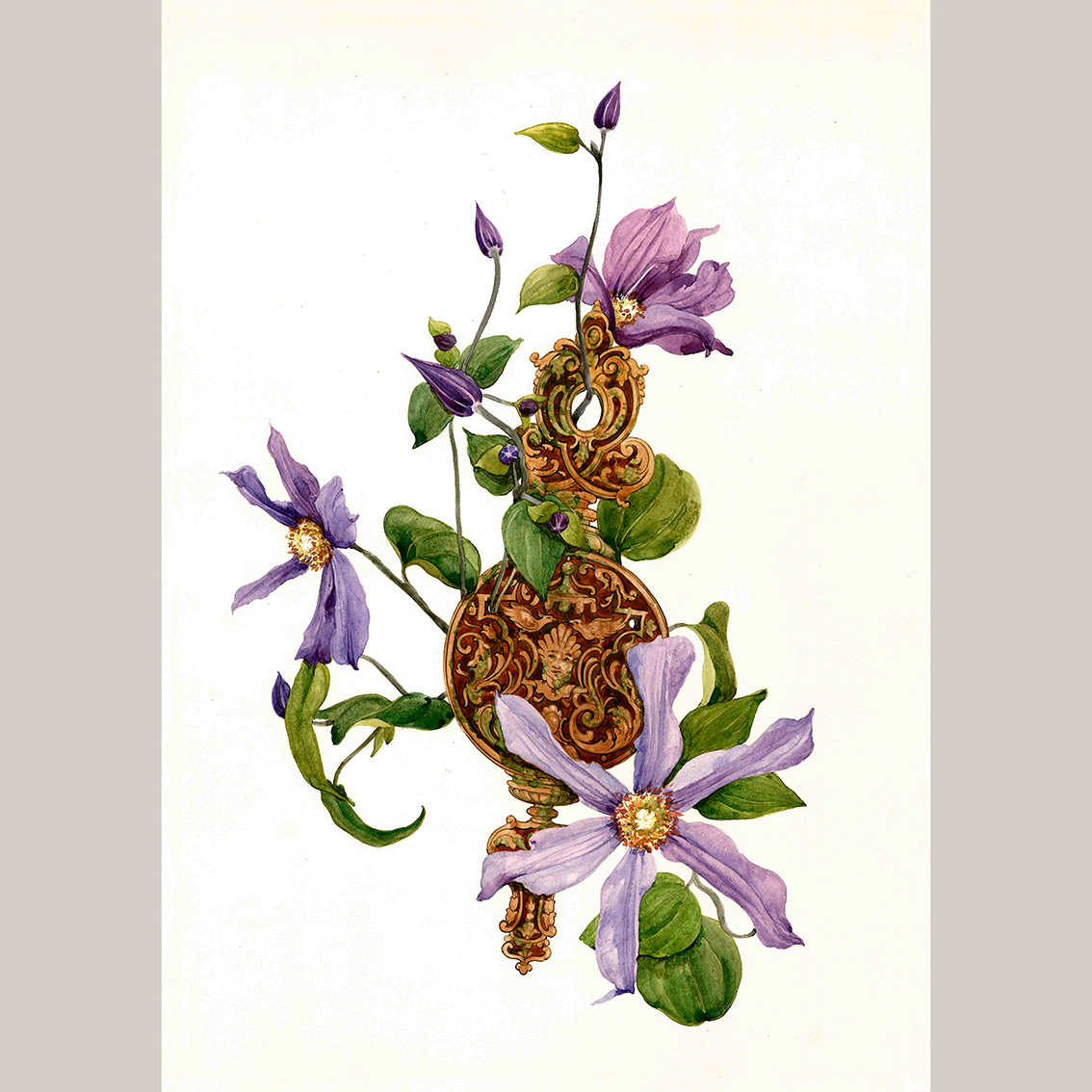 Открытка Клематис