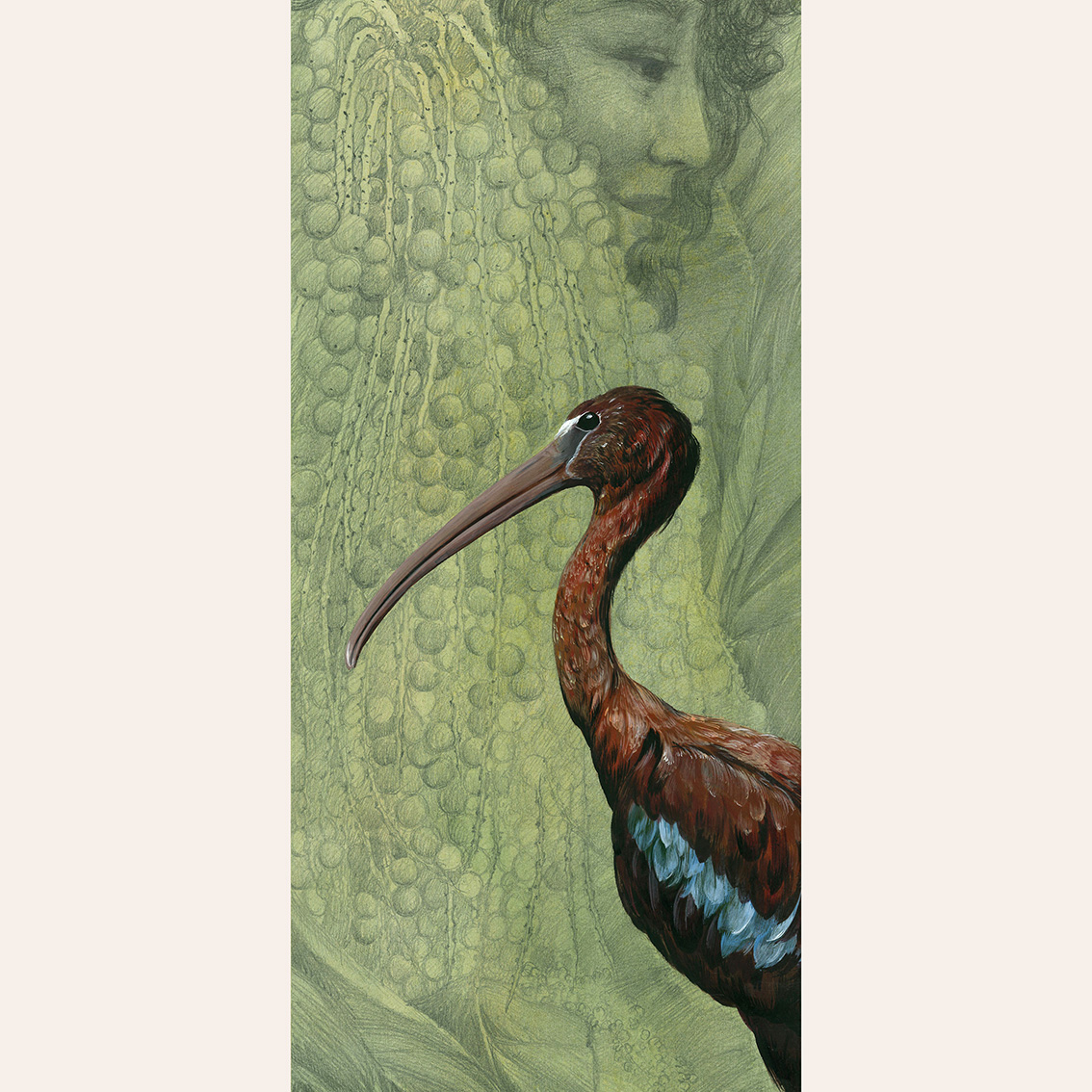 Открытка Ибис