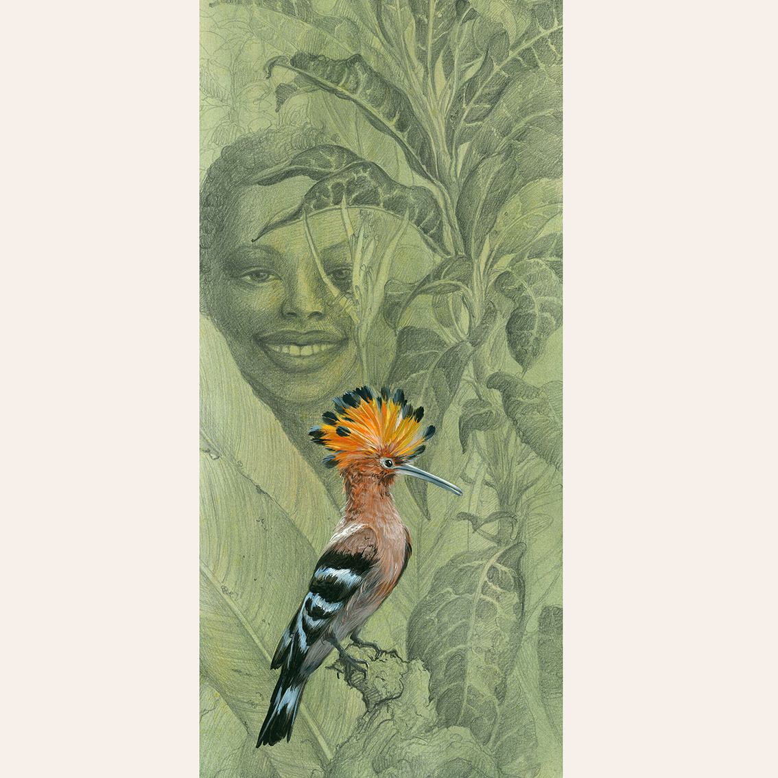 Открытка Удод