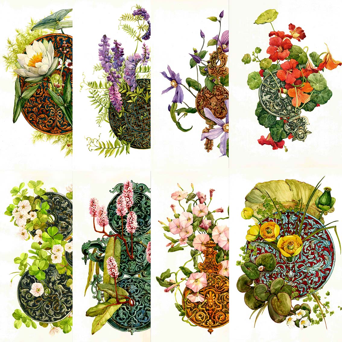 Серия открыток Ботаника