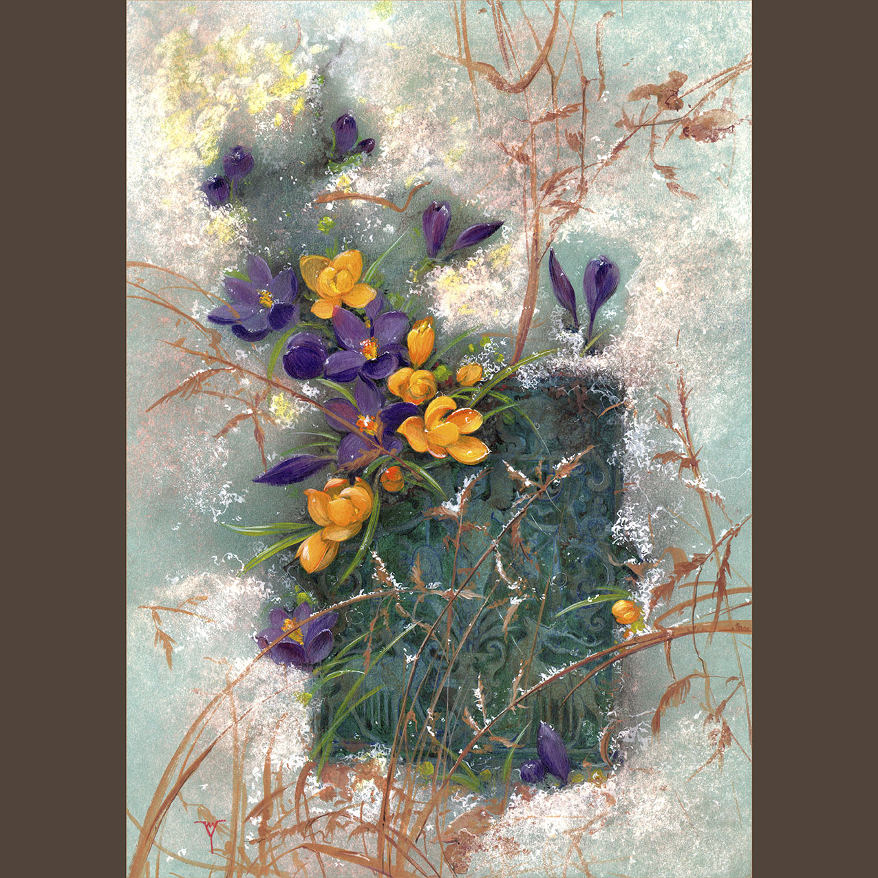 Последний снег. Крокусы