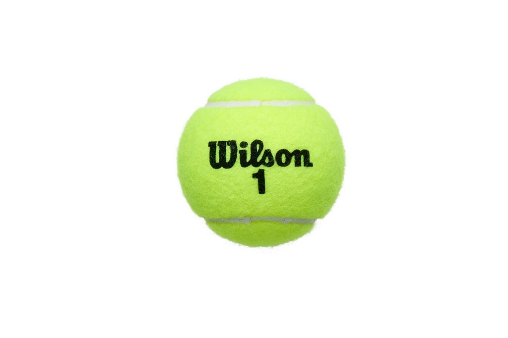 Теннисные мячи Wilson Championship Extra Duty (4 шт. в упак.)