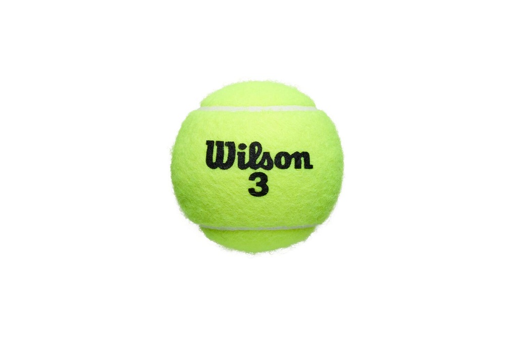 Теннисные мячи Wilson Roland Garros All Court (3 шт. в упак.)