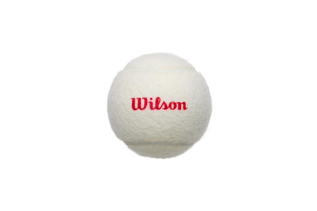 Теннисные мячи Wilson Championship Legacy White (3 шт. в упак.)