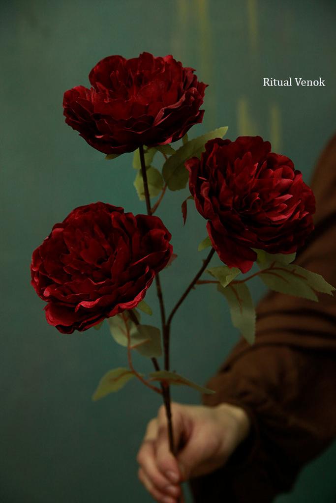 Пионы "Варна"