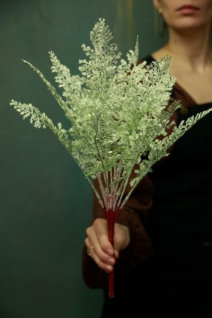 Зелень Туя "Пудра"