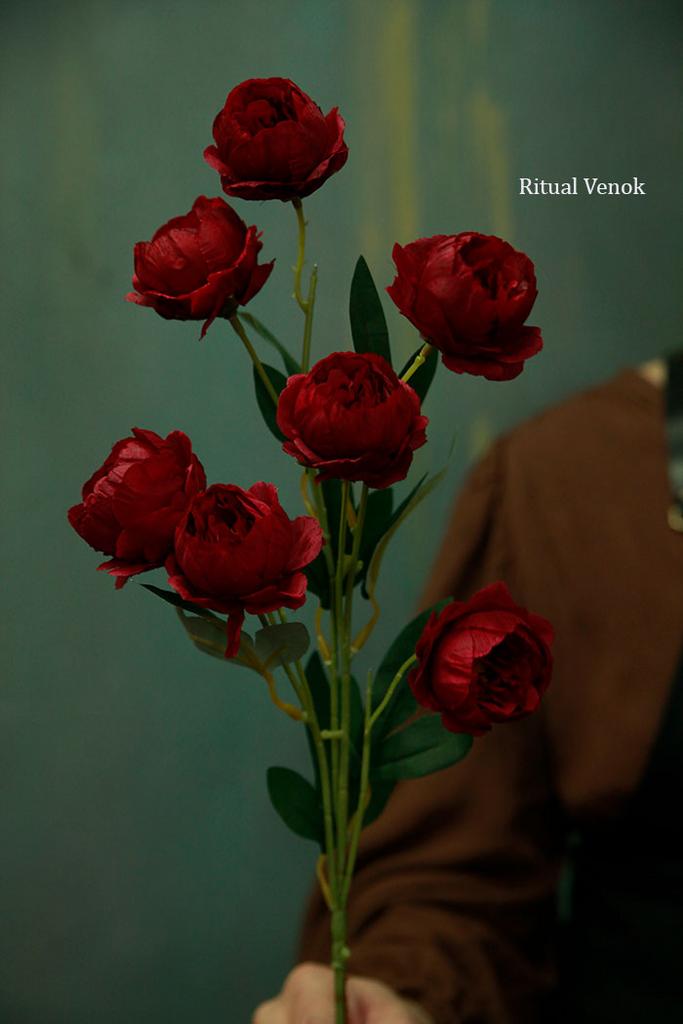 Пионы - мини Кустовые