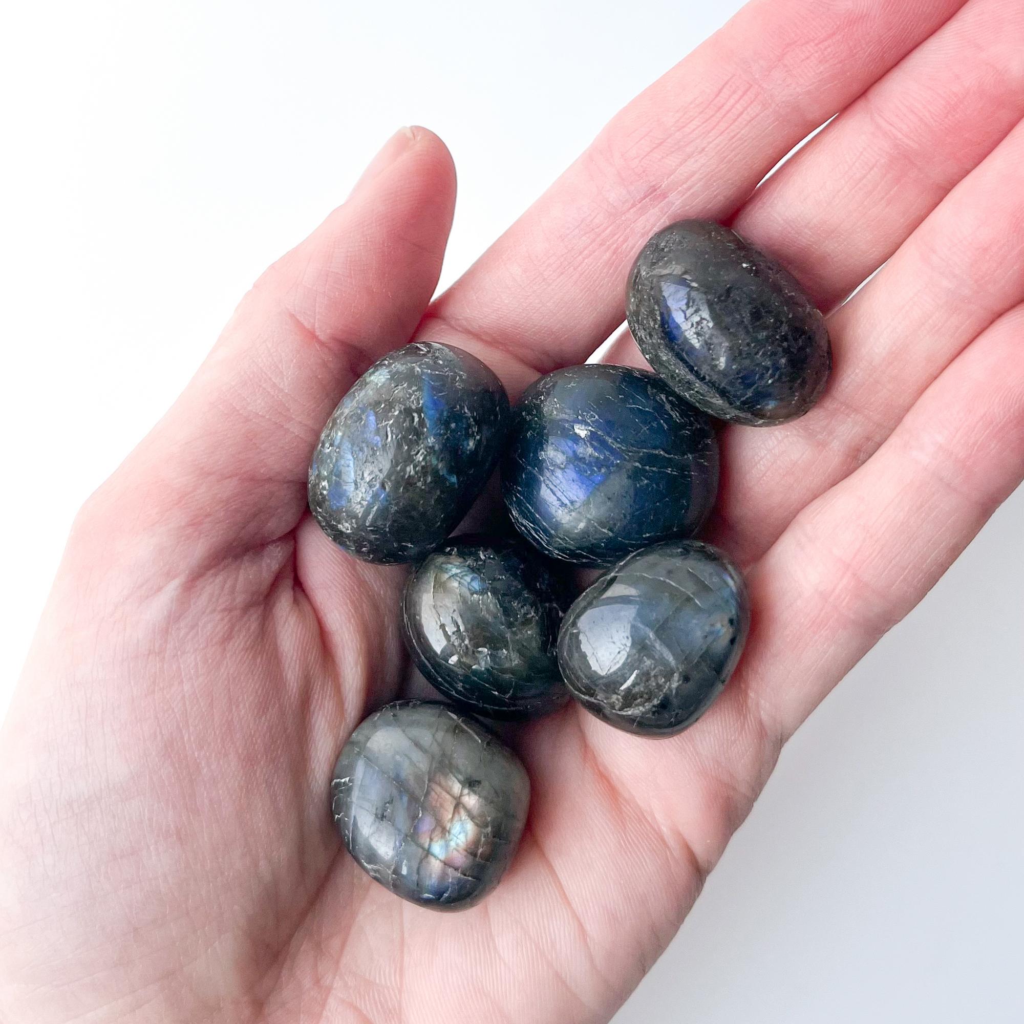 Лабрадор - галтовка