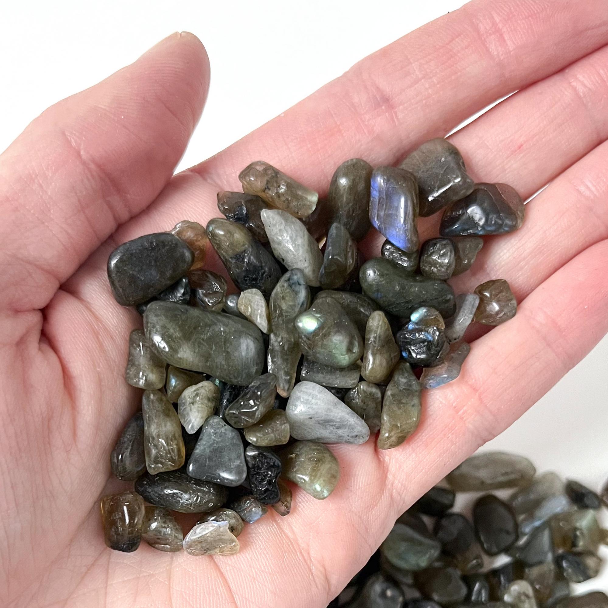 Набор - Лабрадор 12шт