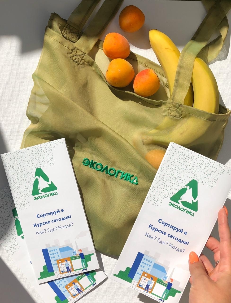 эко сумка Экологика из органзы