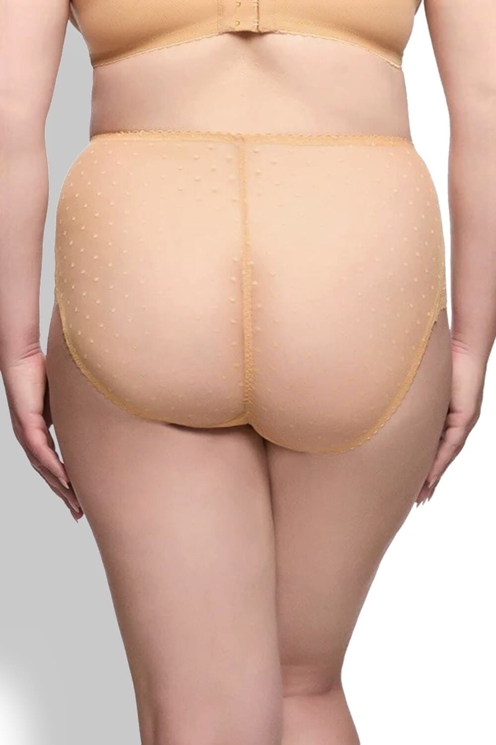 Кружевные трусы слипы с высокой талией Dita Von Teese D25021