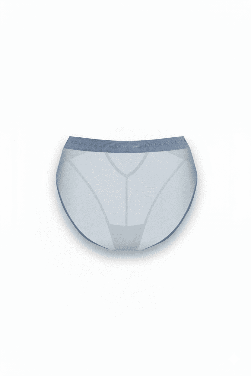 Трусы слипы Le Journal Intime LIBERTY Downtown