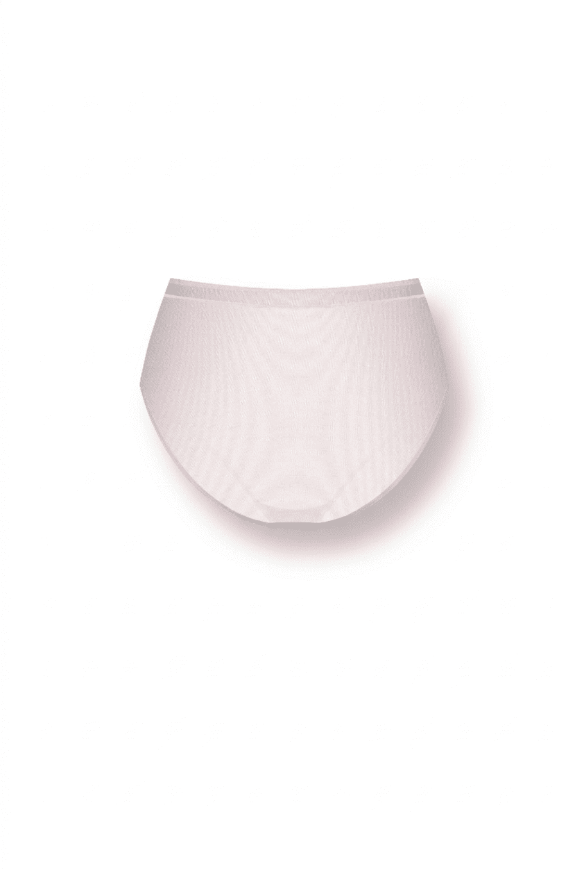 Трусики слипы с высокой талией Le Journal Intime SKILLA Mise a nu