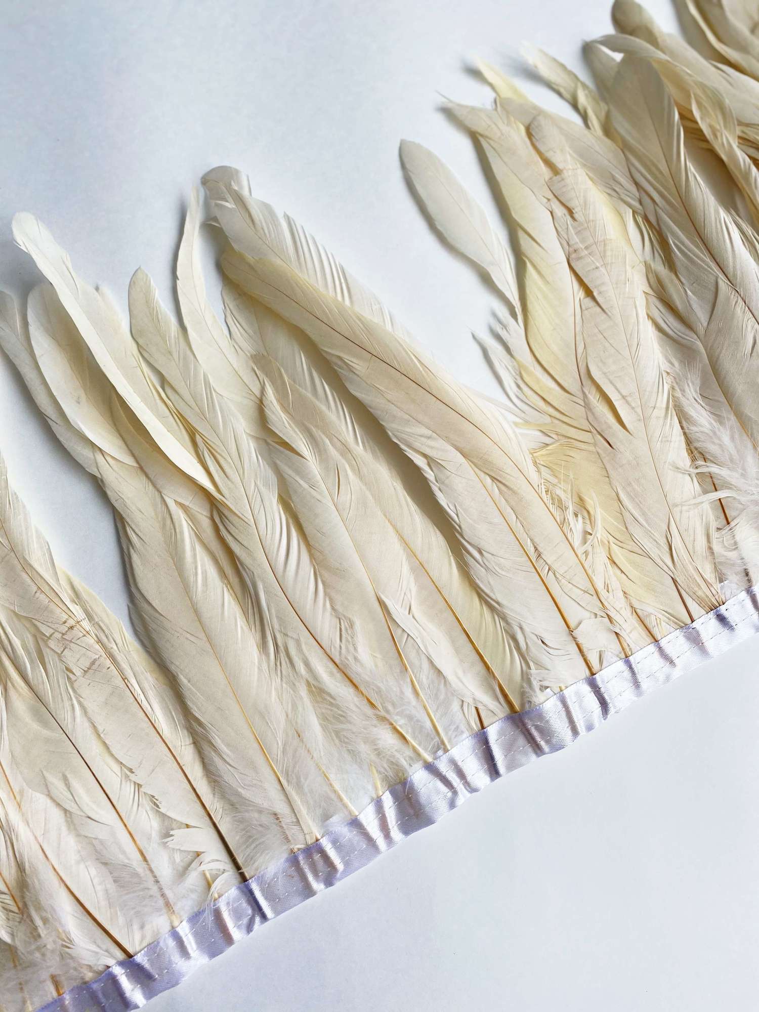 Перья Петуха 25-30 см Белый
