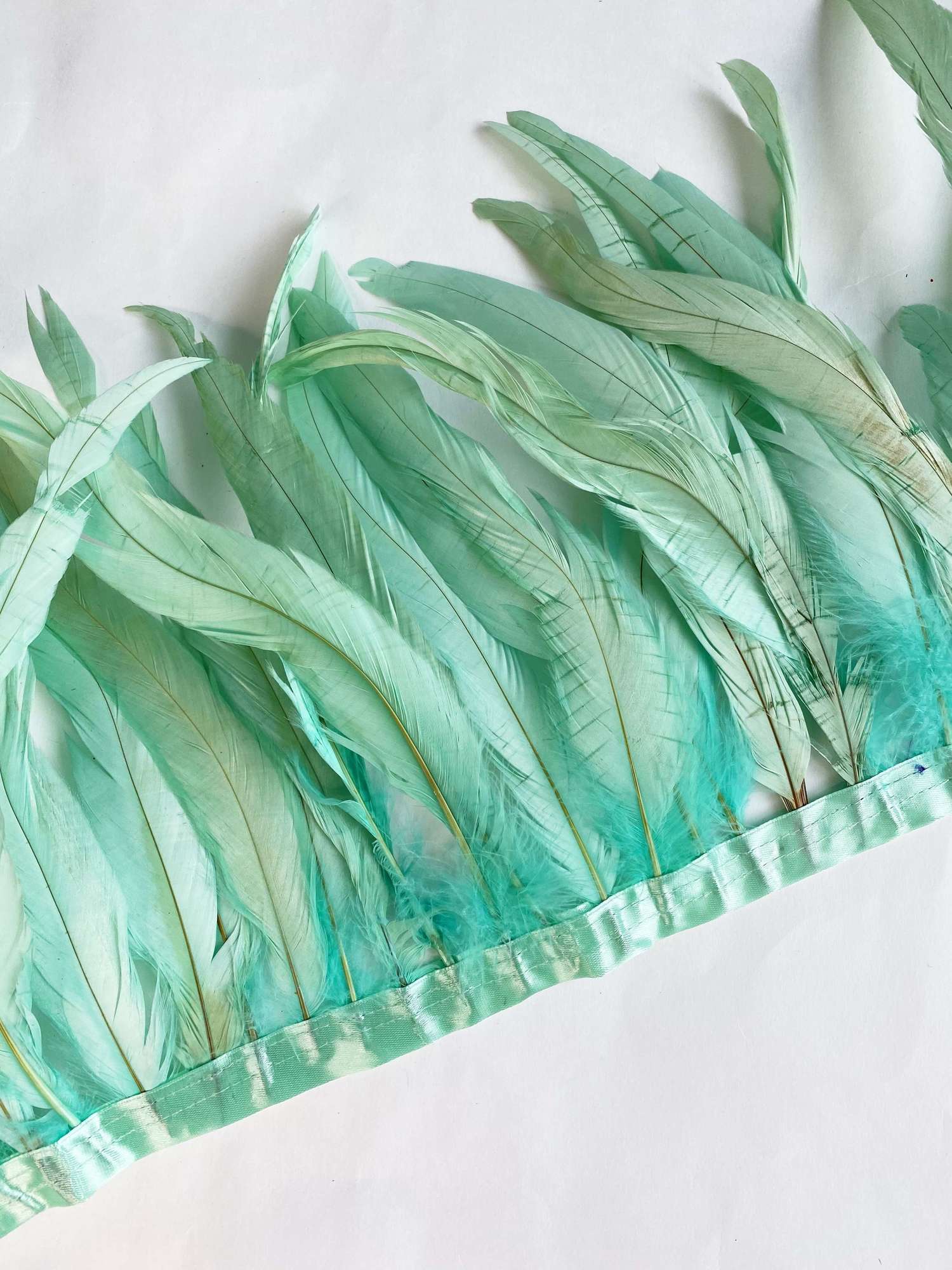 Перья Петуха 25-30 см  Мята