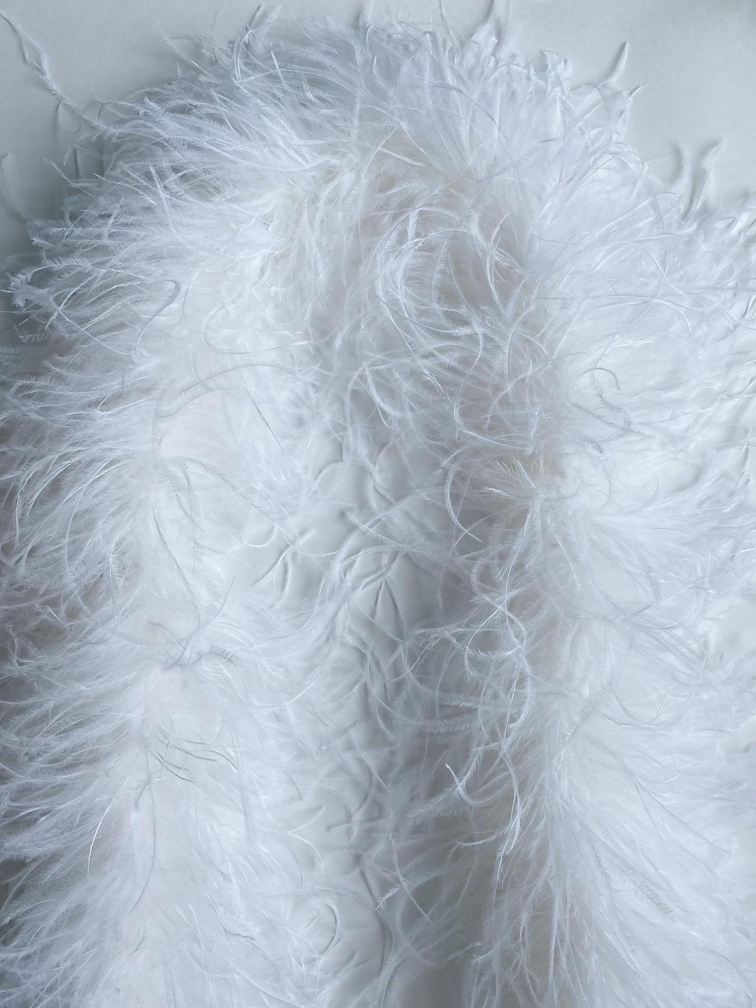 Боа из перьев страуса