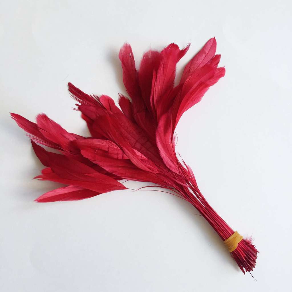 Перья на ножке Бордо
