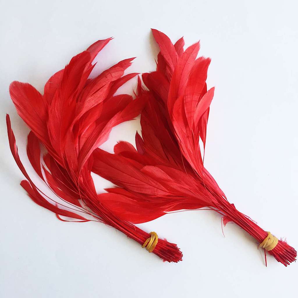 Перья на ножке Красный