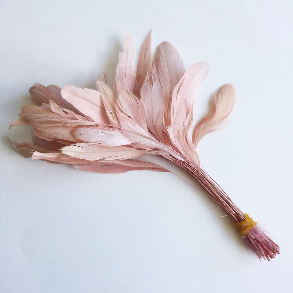 Перья на ножке Пыльная роза