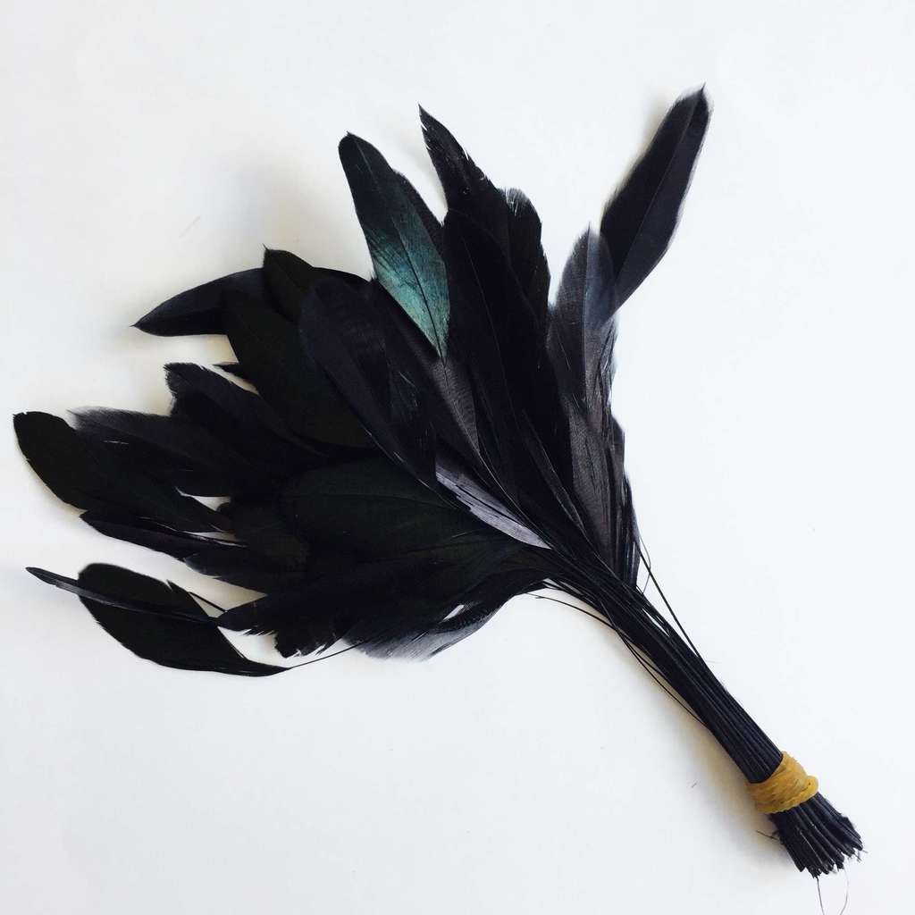 Перья на ножке Черный