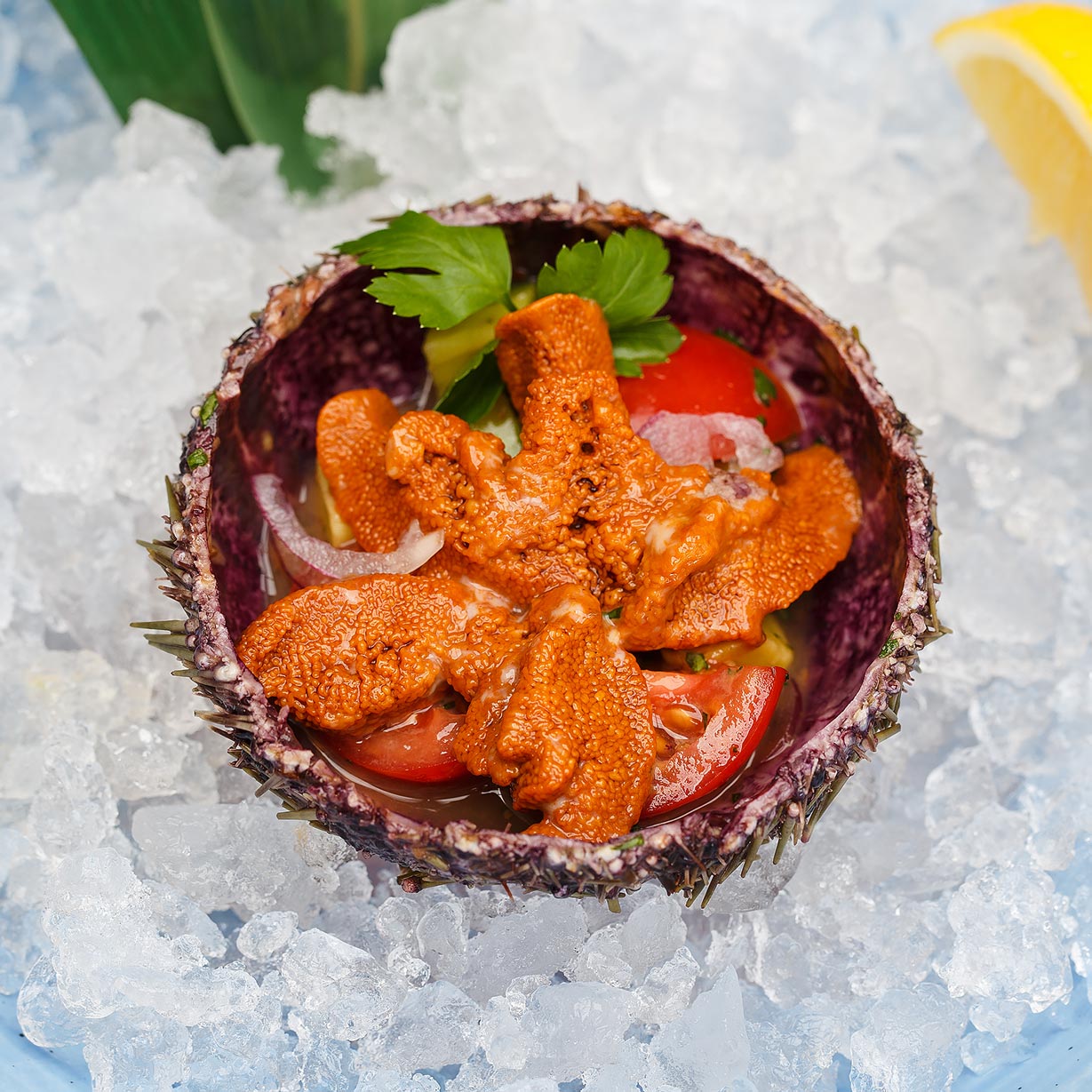 Морской еж с соусом "Севиче"