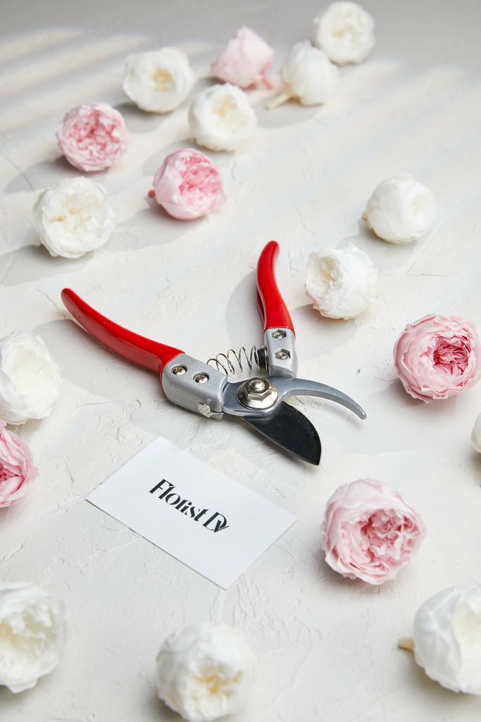 Секатор ZT-810 японская сталь