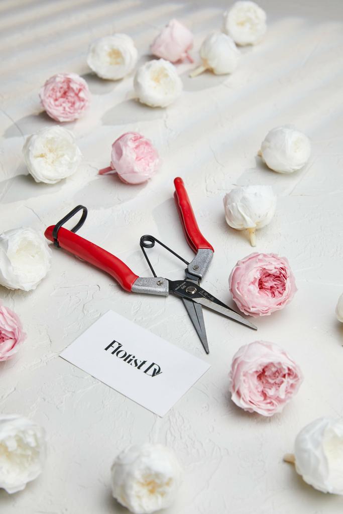 Секатор с прямым лезвием ZT-901 с фиксатором на ручке