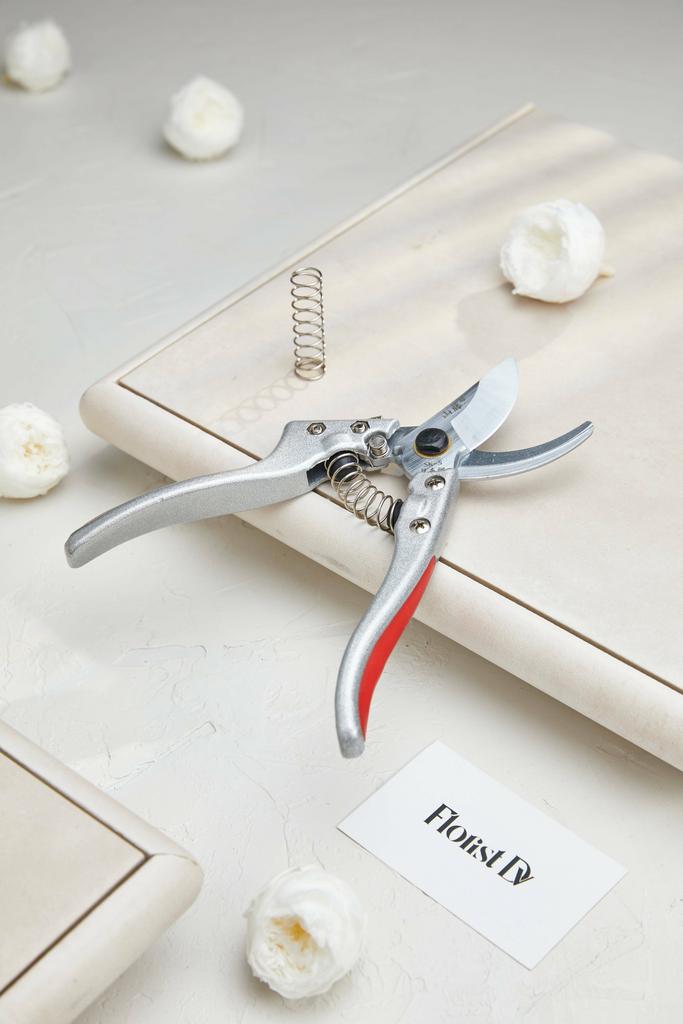 Секатор Taiwan | японская сталь с доп. пружиной - Сталь