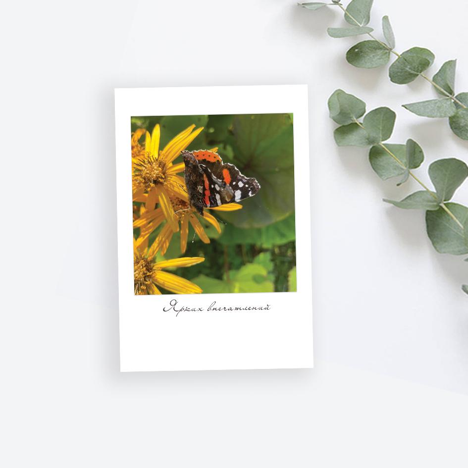 Мини-Карточка-Полароид Бабочка "Ярких впечатлений"