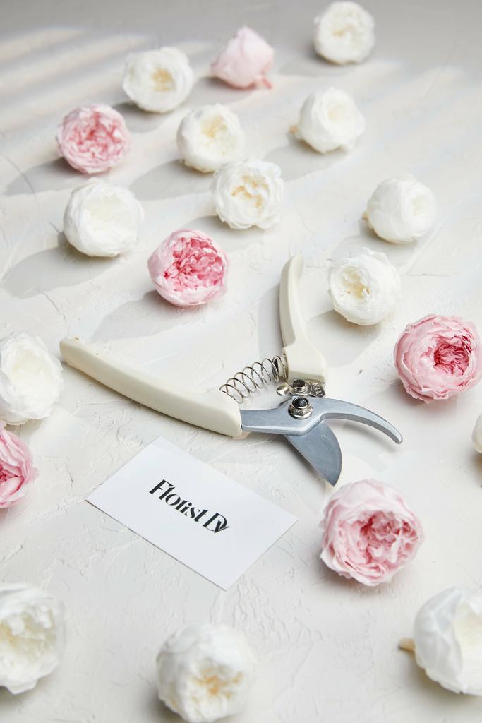 Секатор - Бежевый 130А