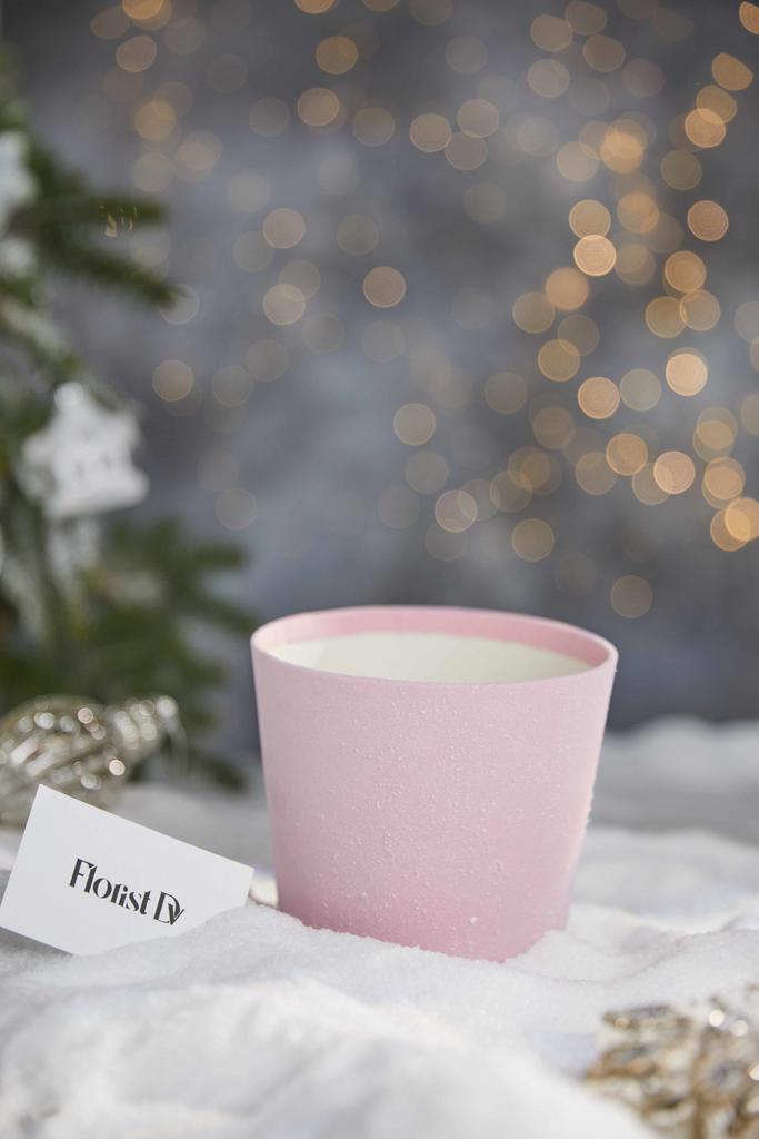 Бархатный бокс - Зимняя история