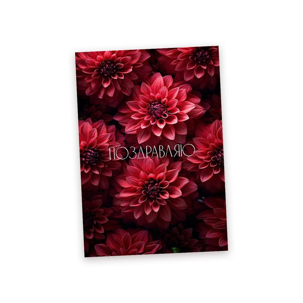 Мини-карточка - Красные Георгины "ПОЗДРАВЛЯЮ"