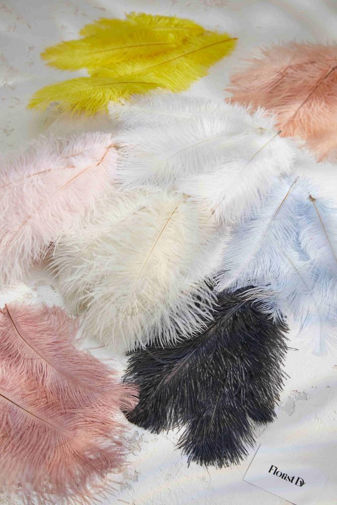 Перья страуса (5 шт. 25-30 см.)