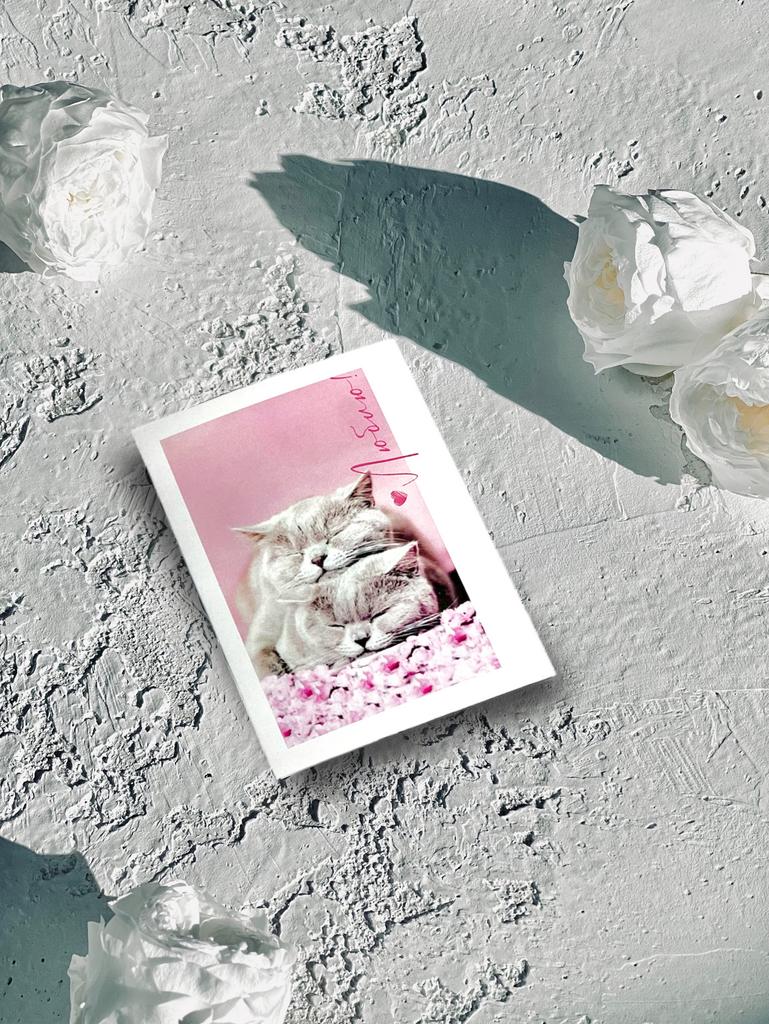 Мини-карточка - Коты британцы "Люблю!"