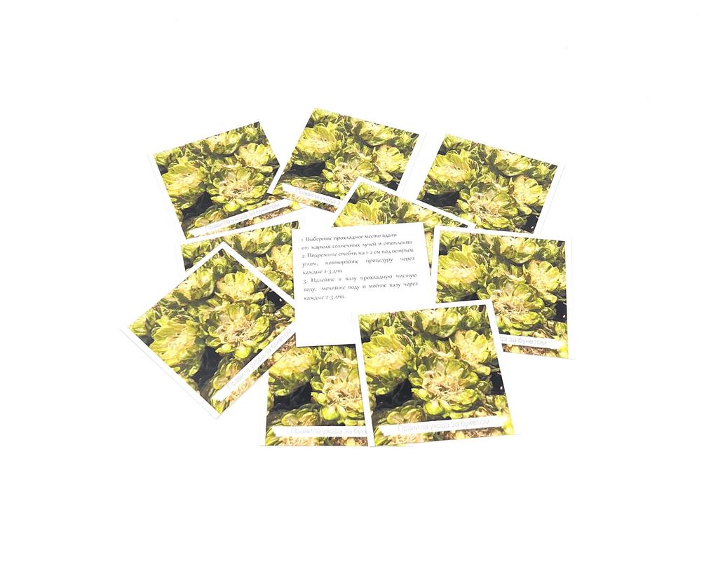 Открытка - карточка - "Правила ухода за букетом" Брасика