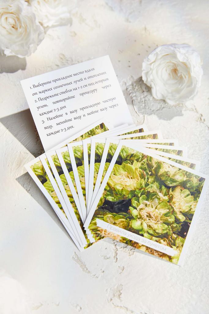 Открытка - карточка - "Правила ухода за букетом" Брасика