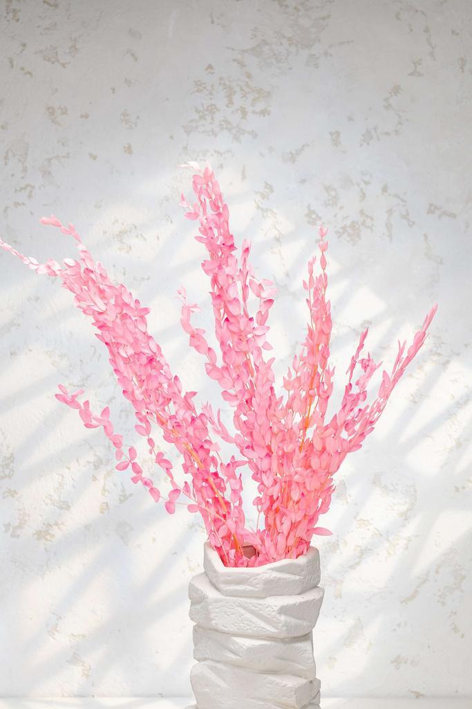 Эвкалипт Парвифолия