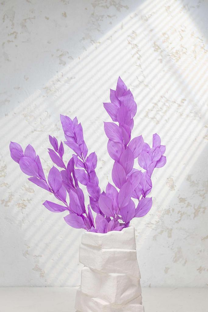 Рускус (Иглица)