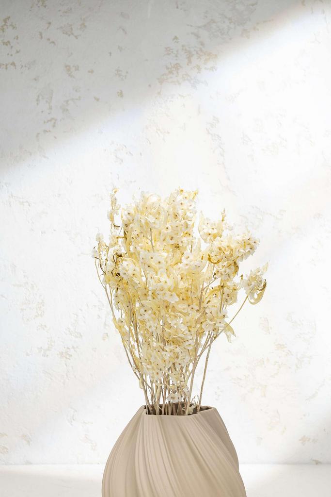 Японский ирис