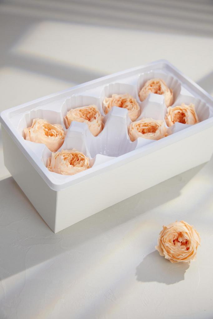 Пионовидные розы